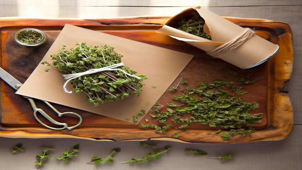 Sprawdź jak suszyć oregano w domowych warunkach?