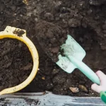 Czym jest humus do roślin